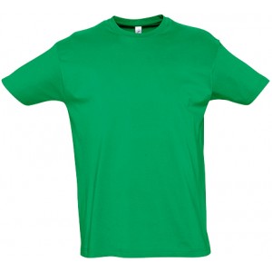 T-SHIRT M/MANGA IMPERIAL VERDE PASTOS 